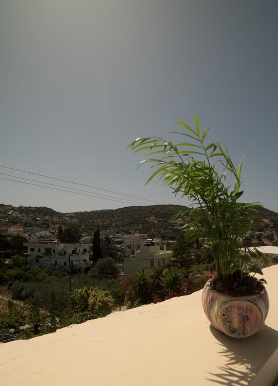 Bodikos Villas & Apartments بيتسيديا المظهر الخارجي الصورة
